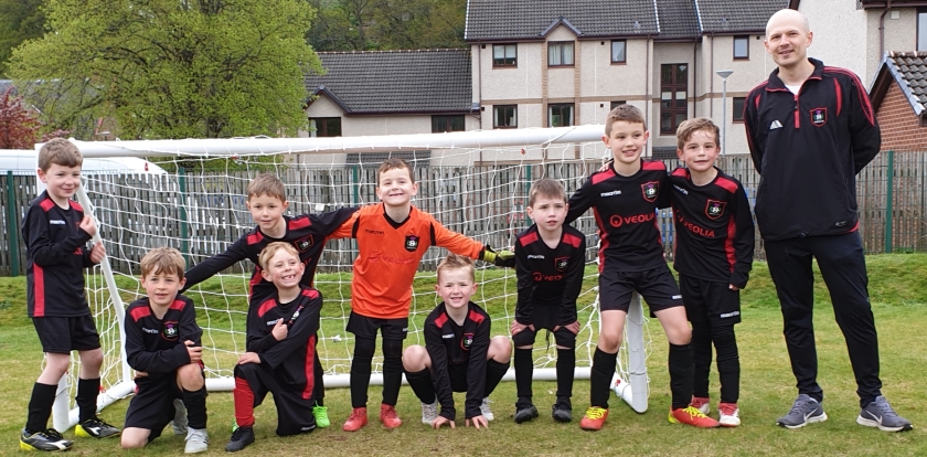 thistle colts